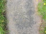 image of grave number 728802